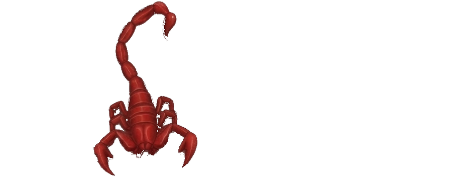 Scorpion Tactical Security